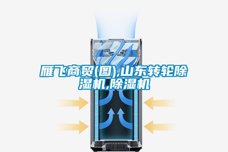 雁飛商貿(mào)(圖),山東轉(zhuǎn)輪除濕機(jī),除濕機(jī)