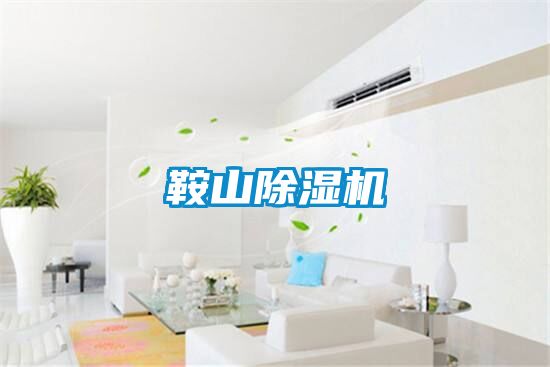 鞍山除濕機