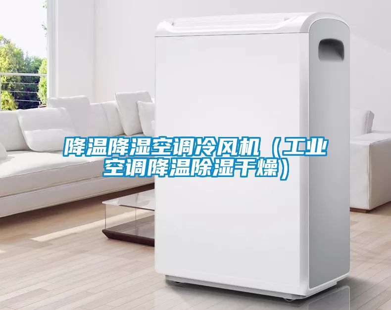 降溫降濕空調(diào)冷風(fēng)機(jī)（工業(yè)空調(diào)降溫除濕干燥）