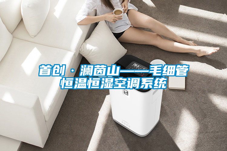 首創·瀾茵山——毛細管恒溫恒濕空調系統