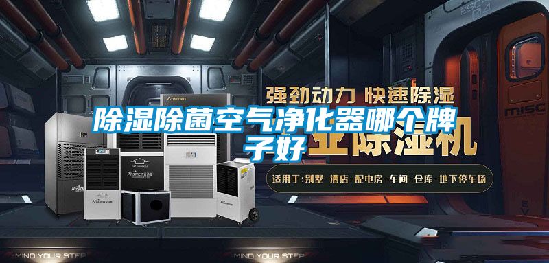 除濕除菌空氣凈化器哪個牌子好