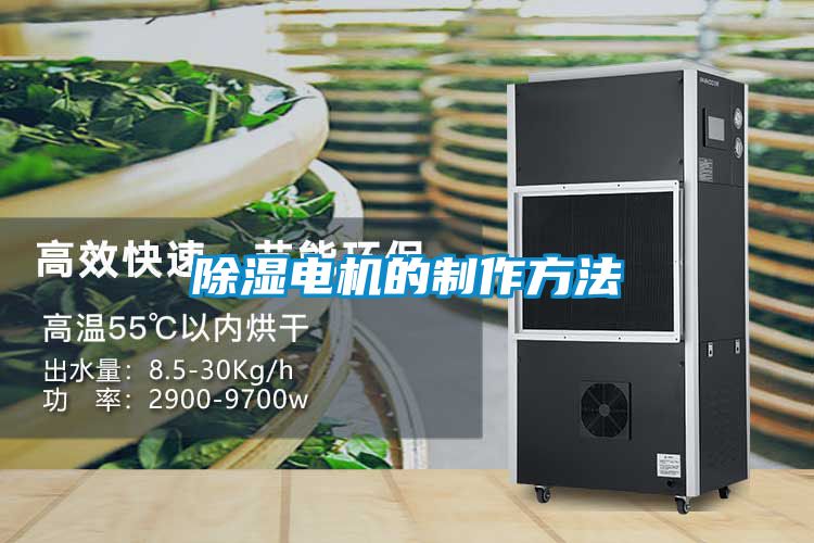 除濕電機的制作方法