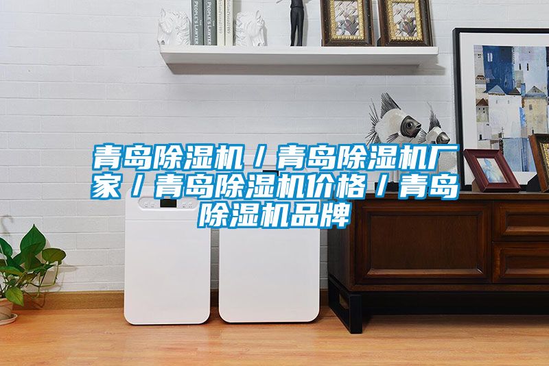 青島除濕機／青島除濕機廠家／青島除濕機價格／青島除濕機品牌