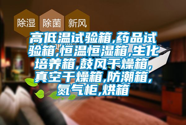 高低溫試驗(yàn)箱,藥品試驗(yàn)箱,恒溫恒濕箱,生化培養(yǎng)箱,鼓風(fēng)干燥箱,真空干燥箱,防潮箱,氮?dú)夤?烘箱