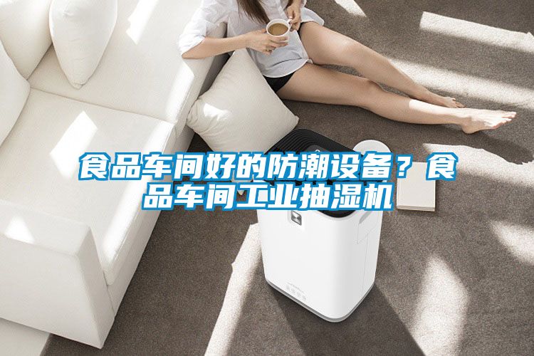 食品車間好的防潮設備？食品車間工業(yè)抽濕機