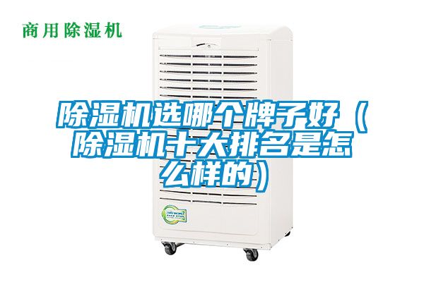 除濕機選哪個牌子好（除濕機十大排名是怎么樣的）