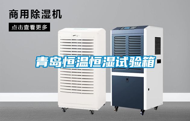 青島恒溫恒濕試驗箱