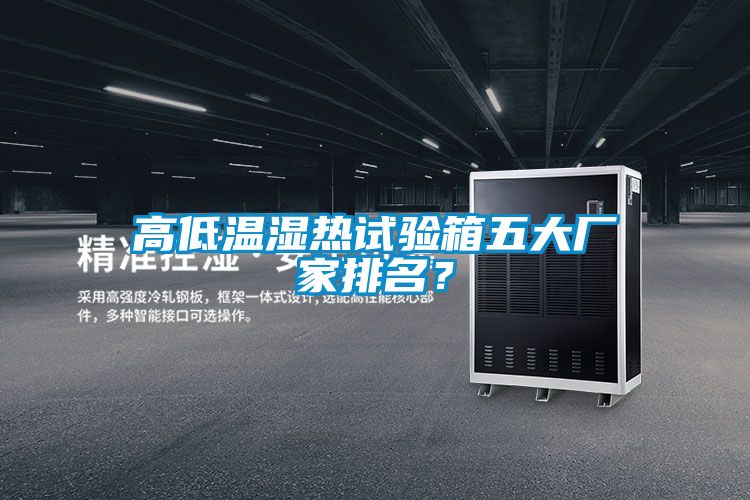 高低溫濕熱試驗箱五大廠家排名？