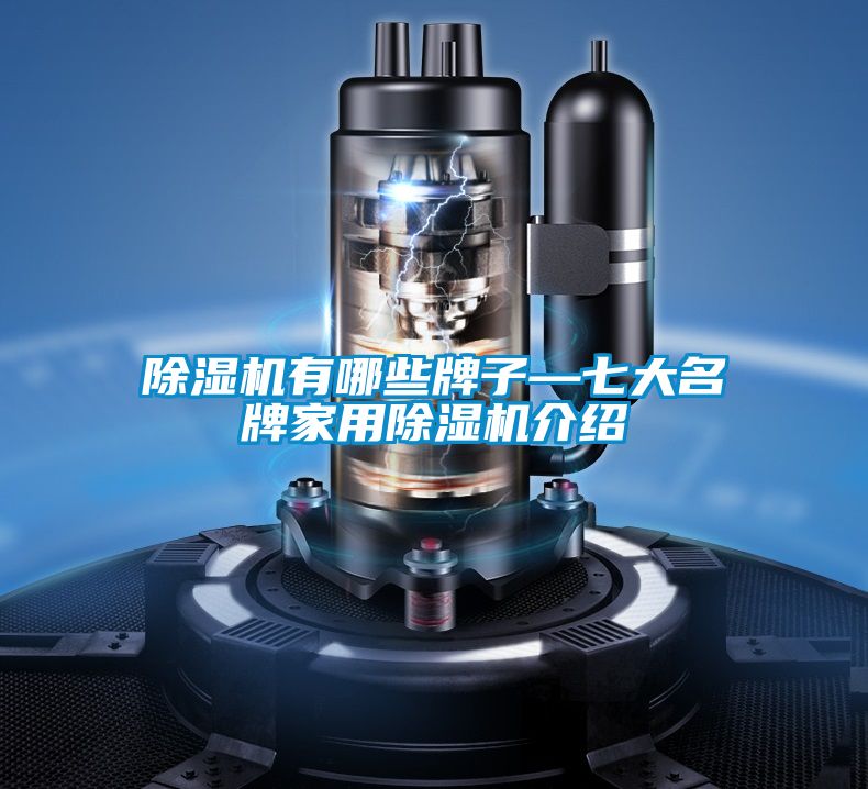 除濕機(jī)有哪些牌子—七大名牌家用除濕機(jī)介紹
