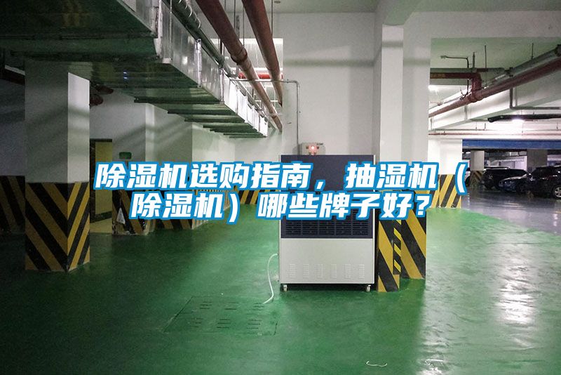 除濕機選購指南，抽濕機（除濕機）哪些牌子好？