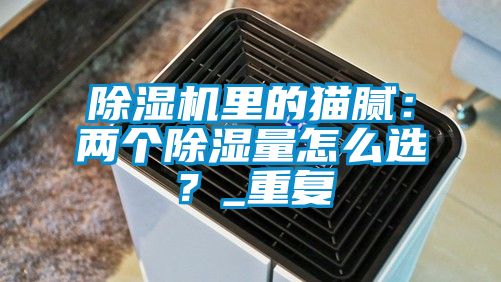 除濕機里的貓膩：兩個除濕量怎么選？_重復