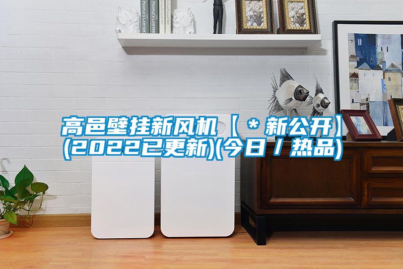 高邑壁掛新風機【＊新公開】(2022已更新)(今日／熱品)