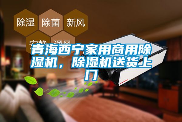青海西寧家用商用除濕機，除濕機送貨上門