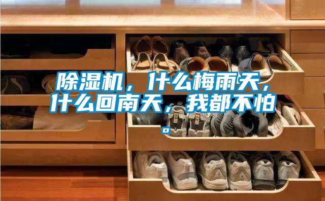 除濕機，什么梅雨天，什么回南天，我都不怕。