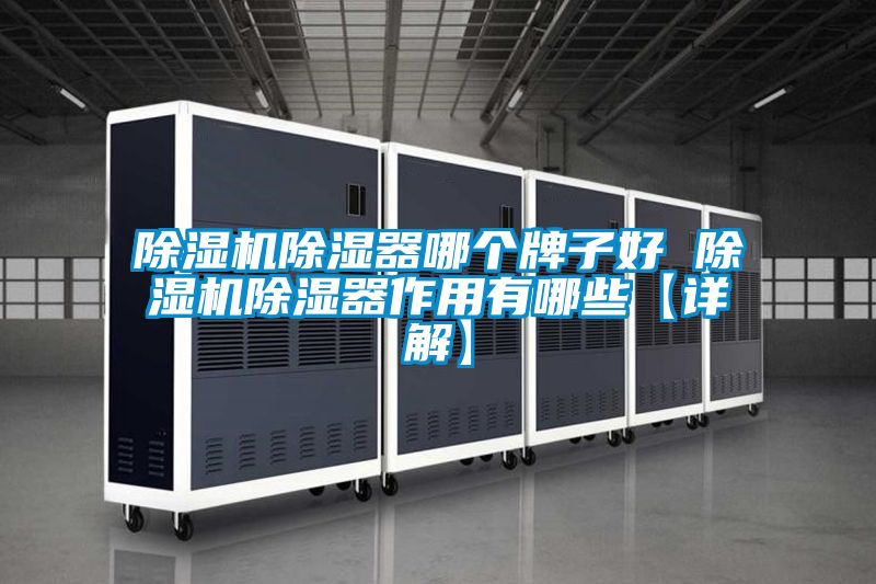 除濕機(jī)除濕器哪個牌子好 除濕機(jī)除濕器作用有哪些【詳解】