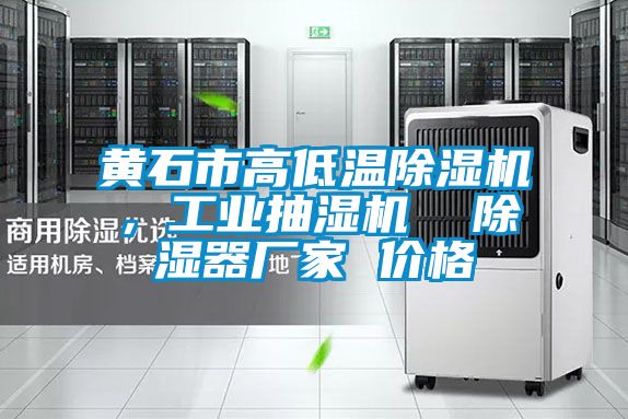 黃石市高低溫除濕機(jī),工業(yè)抽濕機(jī) 除濕器廠家 價(jià)格