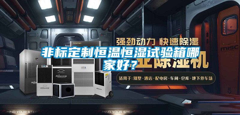非標(biāo)定制恒溫恒濕試驗(yàn)箱哪家好？