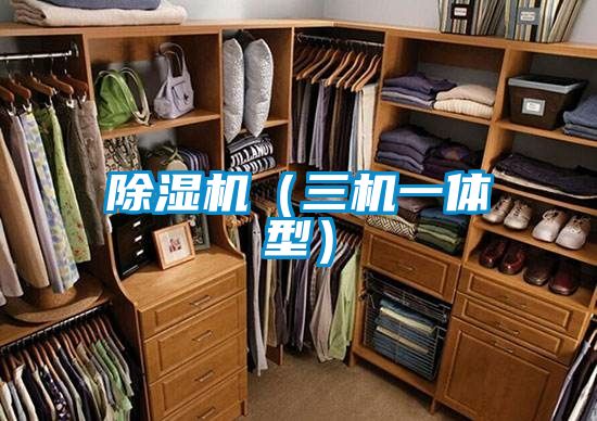 除濕機(jī)（三機(jī)一體型）