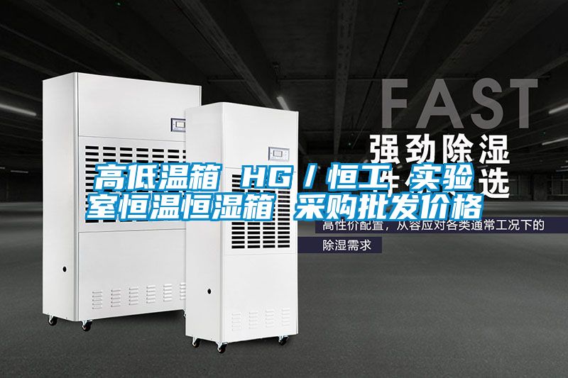 高低溫箱 HG／恒工 實驗室恒溫恒濕箱 采購批發價格