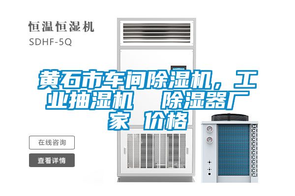 黃石市車間除濕機，工業(yè)抽濕機  除濕器廠家 價格