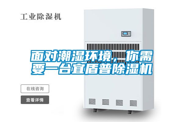 面對(duì)潮濕環(huán)境，你需要一臺(tái)宜盾普除濕機(jī)