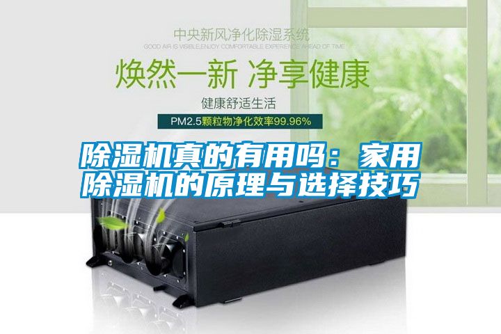 除濕機(jī)真的有用嗎:家用除濕機(jī)的原理與選擇技巧