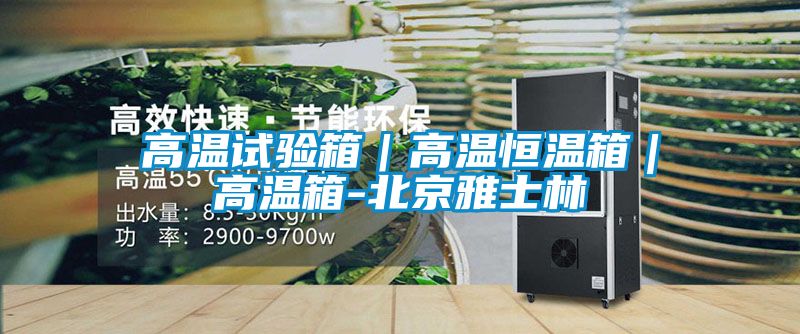 高溫試驗(yàn)箱|高溫恒溫箱|高溫箱-北京雅士林