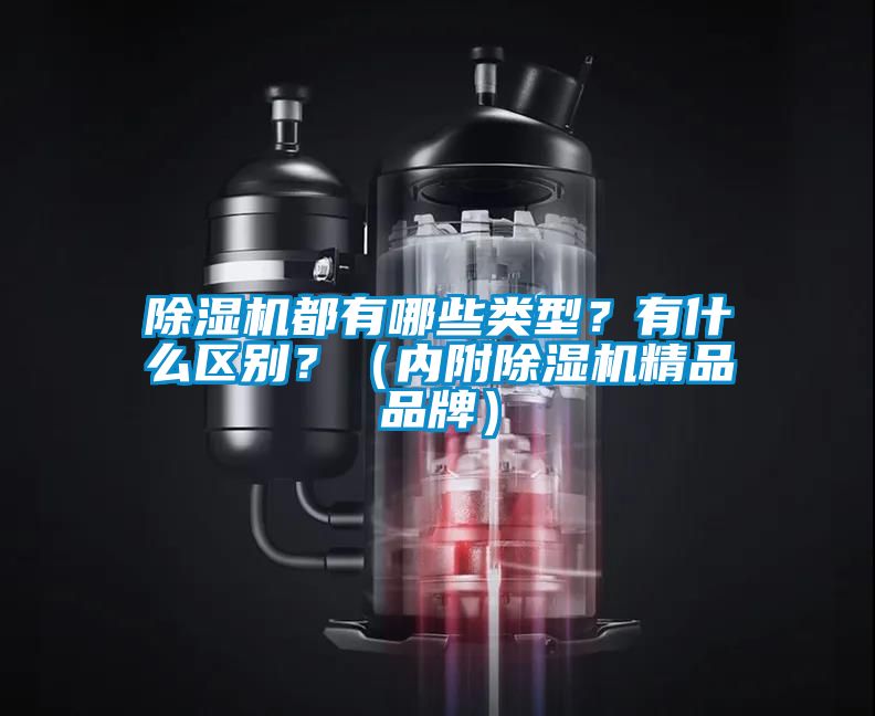 除濕機都有哪些類型？有什么區別？（內附除濕機精品品牌）