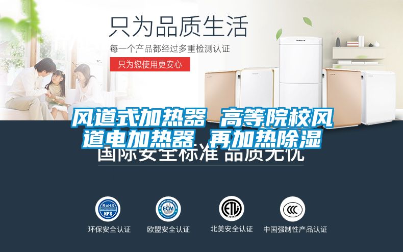 風(fēng)道式加熱器 高等院校風(fēng)道電加熱器 再加熱除濕