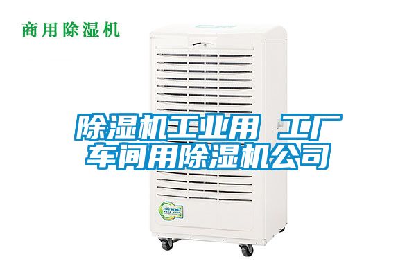 除濕機工業用 工廠車間用除濕機公司