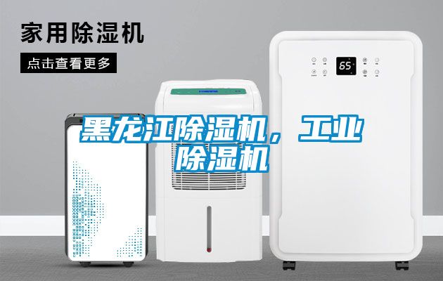 黑龍江除濕機,工業除濕機