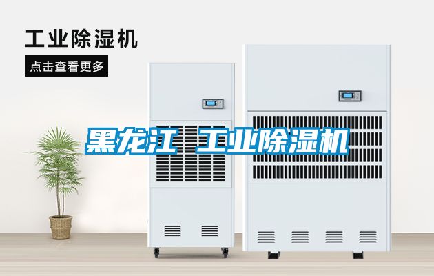 黑龍江 工業除濕機