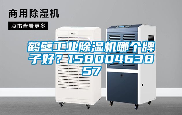 鶴壁工業除濕機哪個牌子好？15800463857