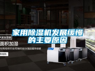 行業(yè)新聞家用除濕機(jī)發(fā)展緩慢的主要原因