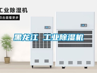 常見問題黑龍江 工業(yè)除濕機(jī)