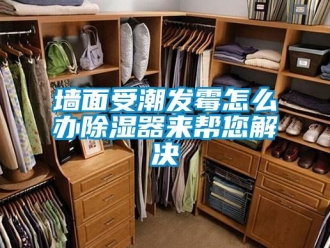 常見問題墻面受潮發(fā)霉怎么辦除濕器來幫您解決