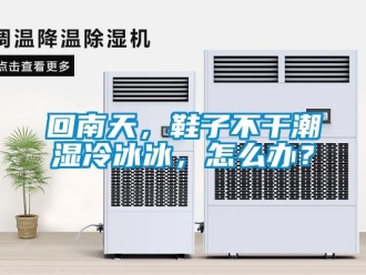 常見問題回南天，鞋子不干潮濕冷冰冰，怎么辦？