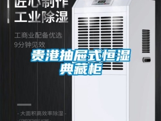 知識百科貴港抽屜式恒濕典藏柜