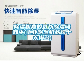 常見問題除濕機真的可以除濕嗎知乎(工業除濕機品牌十大排名)