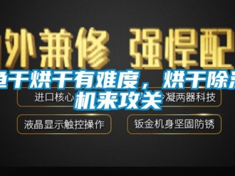 行業新聞魚干烘干有難度，烘干除濕機來攻關