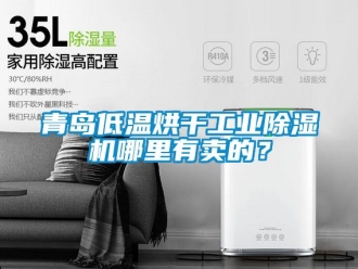 常見問題青島低溫烘干工業除濕機哪里有賣的？