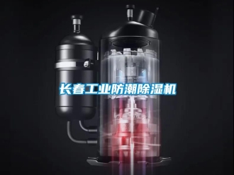 常見問題長春工業(yè)防潮除濕機(jī)