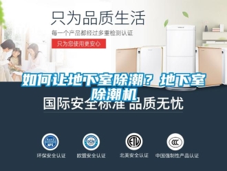 常見問題如何讓地下室除潮？地下室除潮機