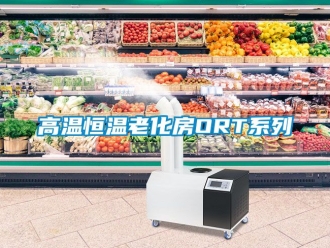 知識百科高溫恒溫老化房ORT系列