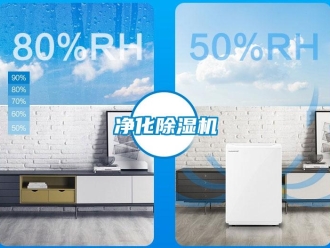行業(yè)新聞凈化除濕機