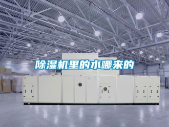 行業(yè)新聞除濕機里的水哪來的