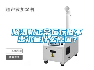 行業(yè)新聞除濕機(jī)正常運(yùn)行但不出水是什么原因？