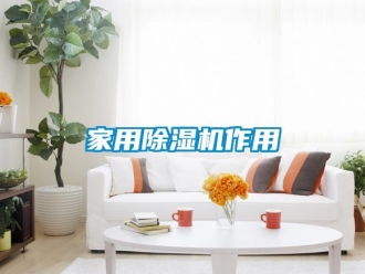 行業新聞家用除濕機作用