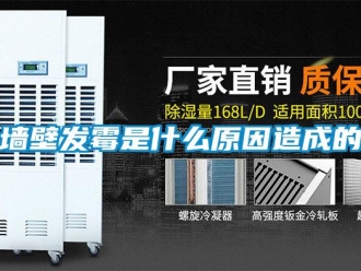 行業新聞墻壁發霉是什么原因造成的