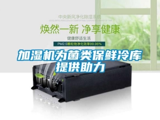 行業(yè)新聞加濕機(jī)為菌類(lèi)保鮮冷庫(kù)提供助力
